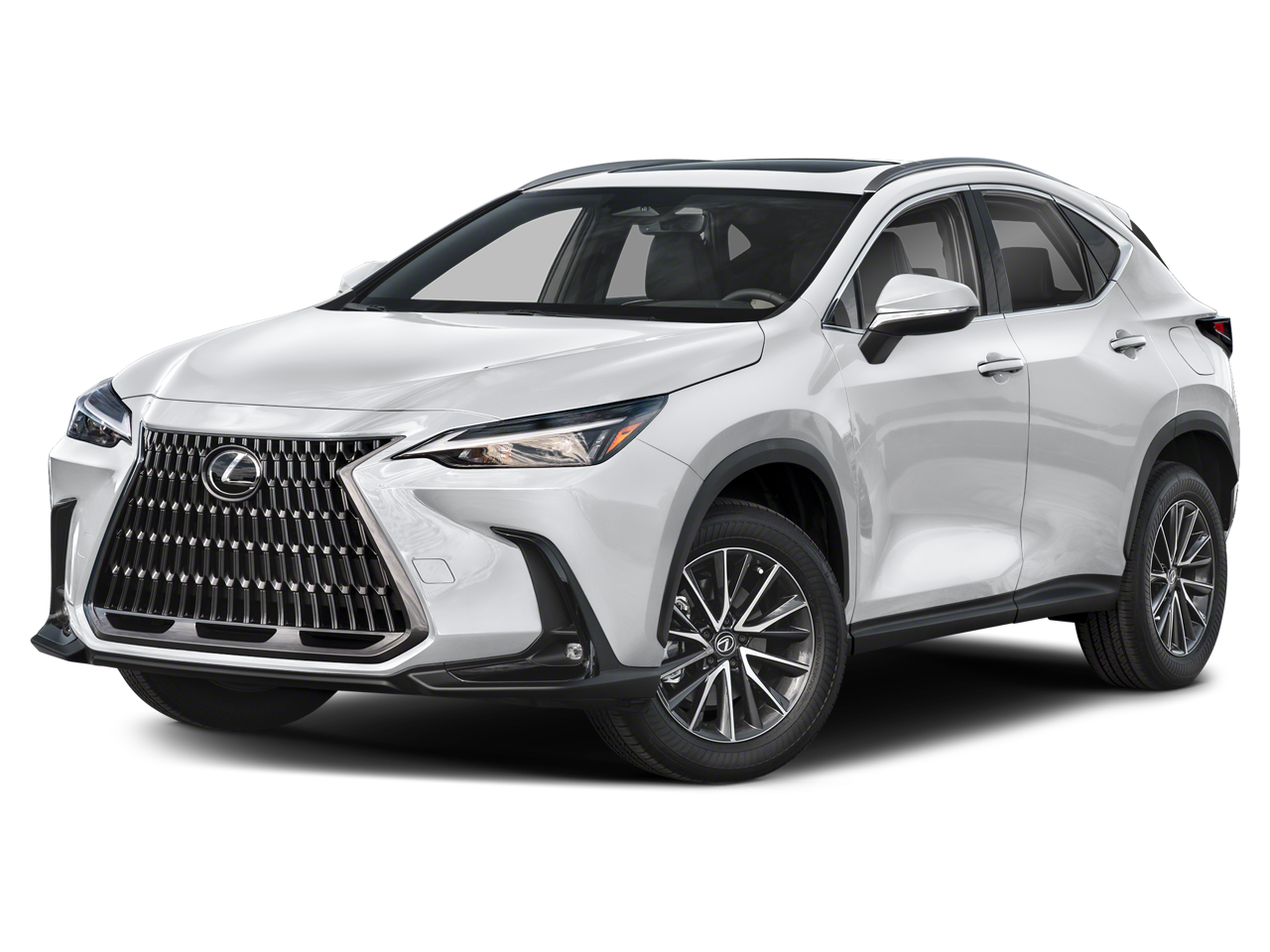 2024 Lexus NX