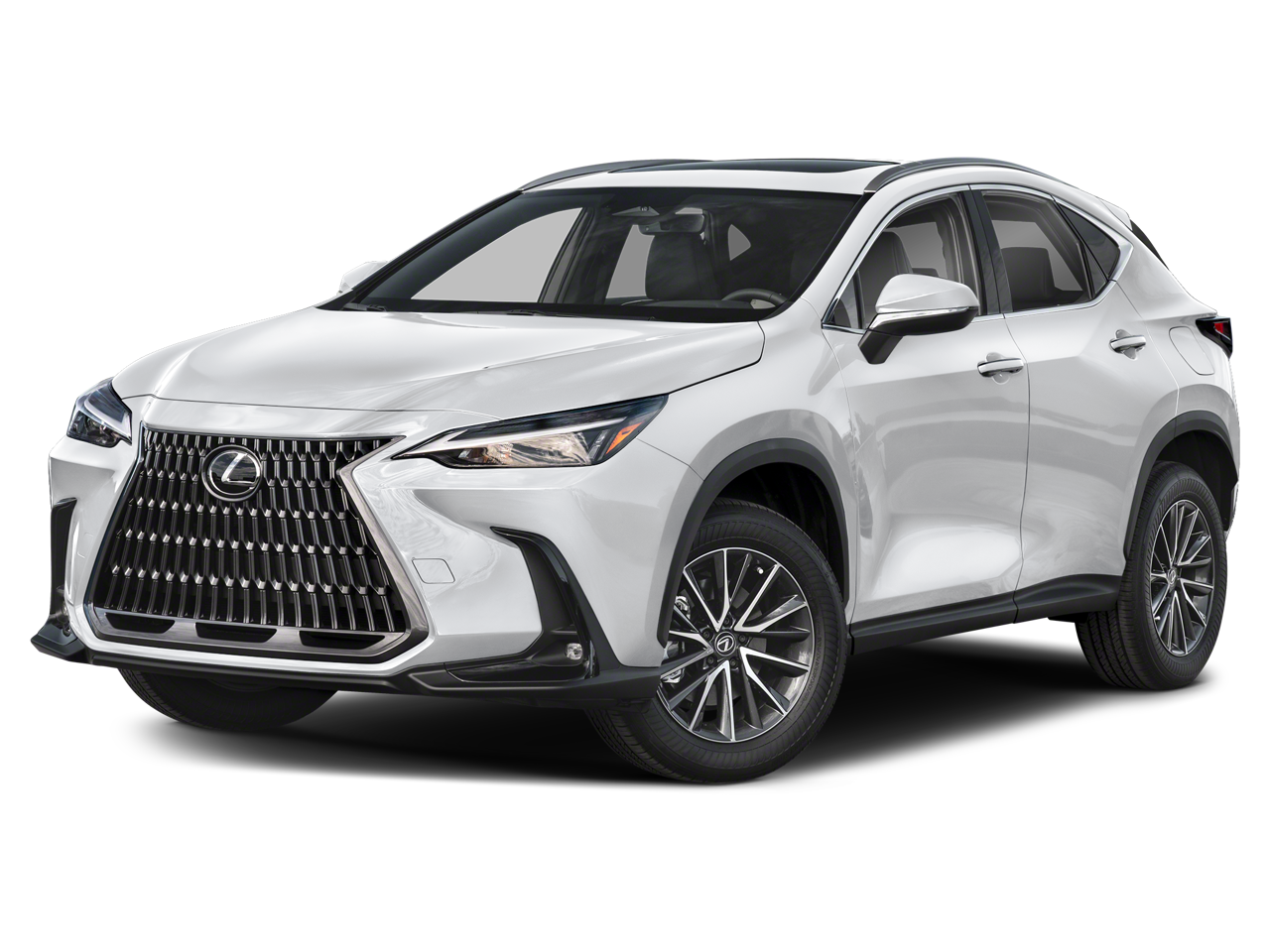2024 Lexus NX 250 Base