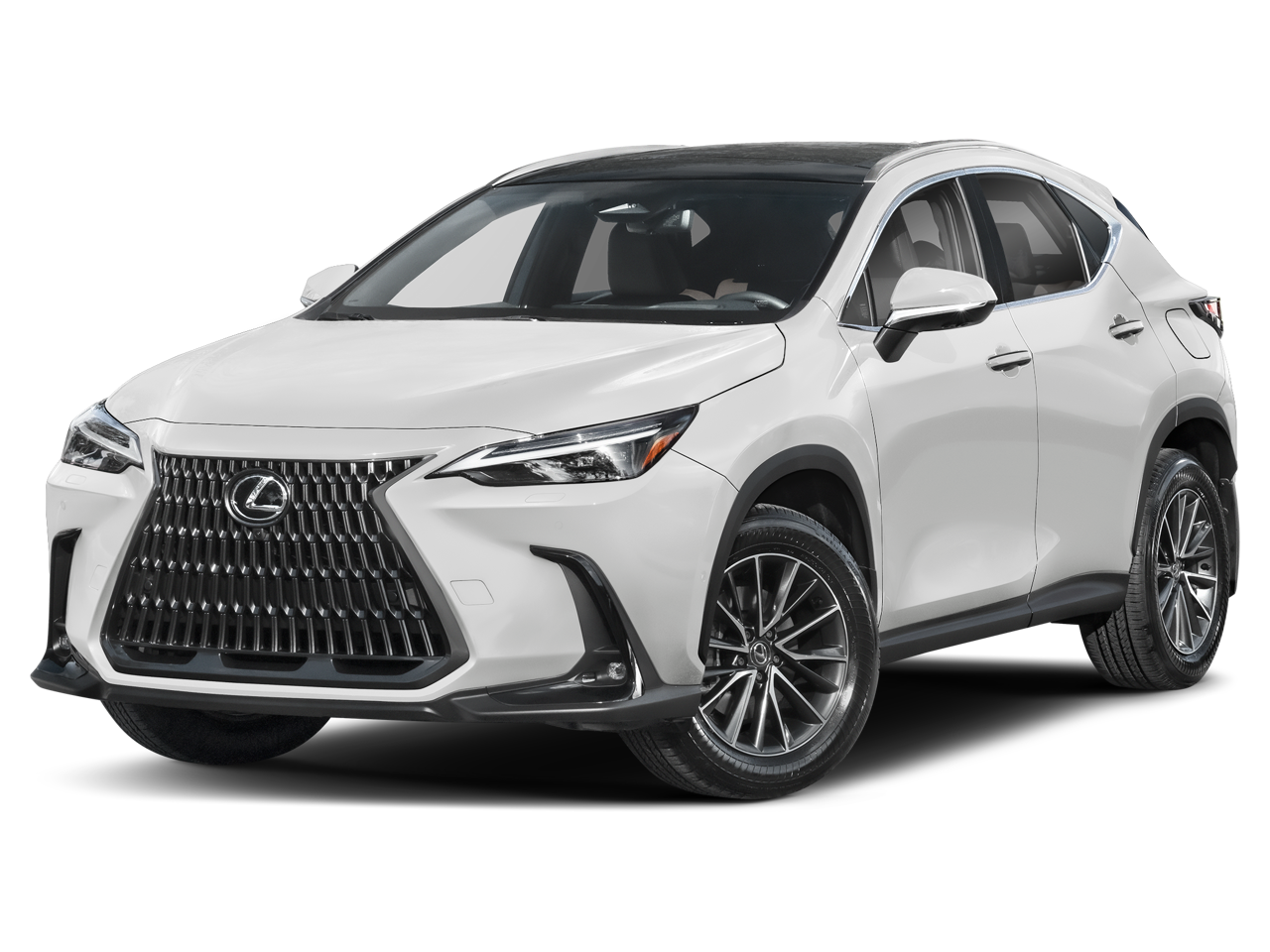 2024 Lexus NX 350h Luxury
