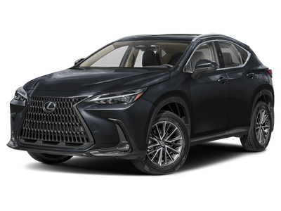 2025 Lexus NX 350 Base