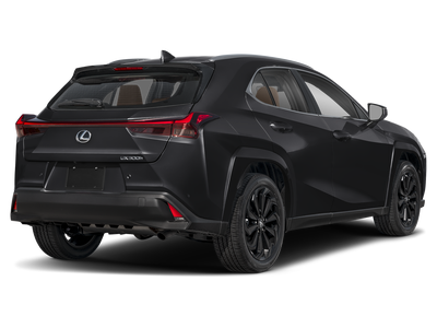 2025 Lexus UX 300h Premium
