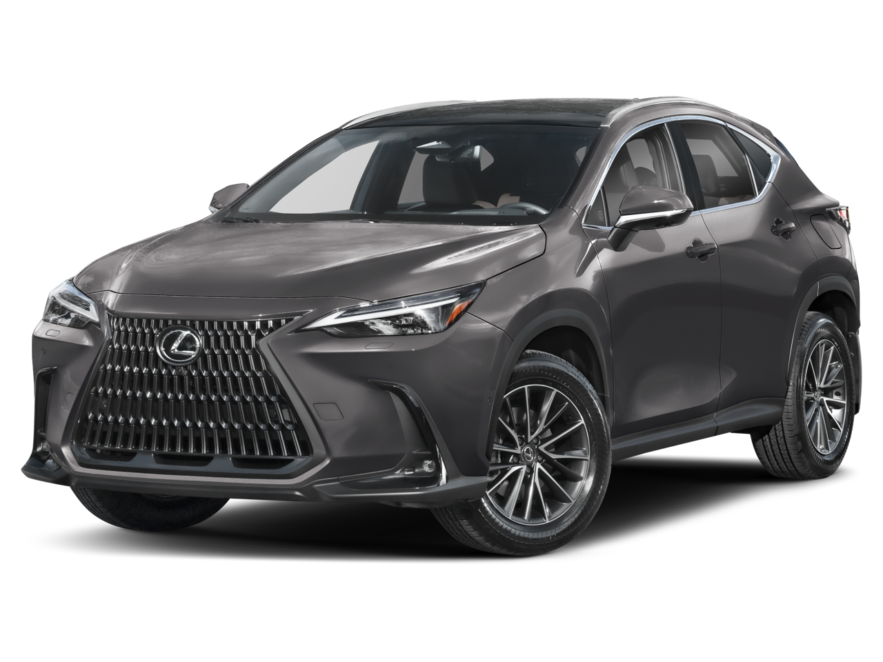 2025 Lexus NX 350h Luxury photo 3