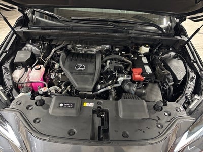 2024 Lexus NX 350 Base