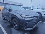 2024 Lexus NX 350 Base