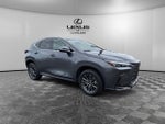 2024 Lexus NX 350 Base