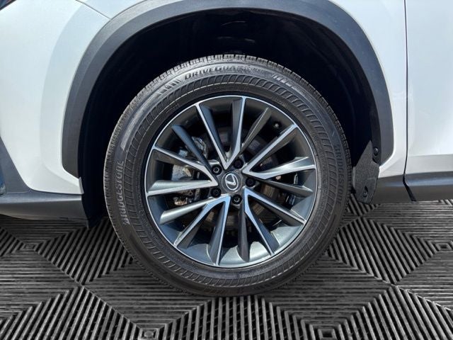2025 Lexus NX 350 Base