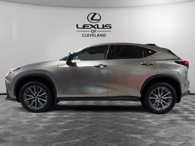 2025 Lexus NX 350 Base