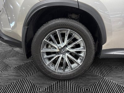 2025 Lexus NX 350 Base