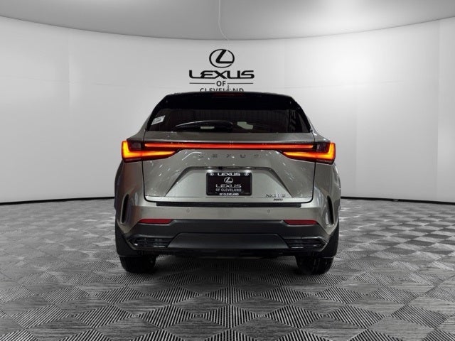 2025 Lexus NX 350 Base