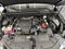 2024 Lexus NX 350 Base