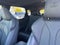 2023 Lexus RX 350 F Sport Handling