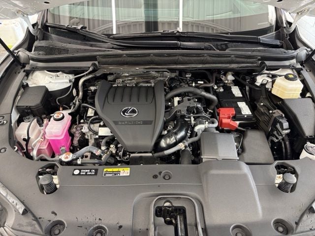 2025 Lexus RX 350 Premium Plus