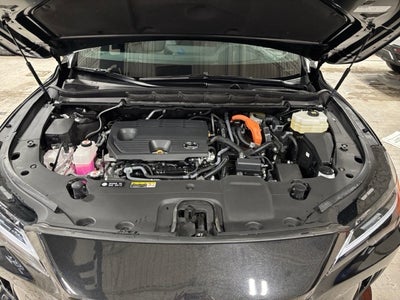 2024 Lexus RX 350h Premium Plus