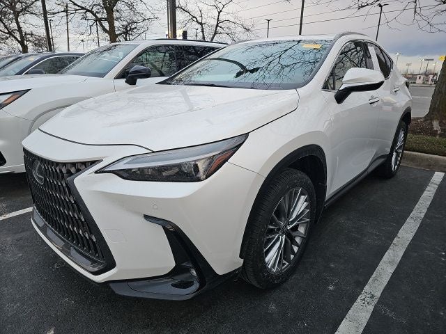 2025 Lexus NX 350 Premium