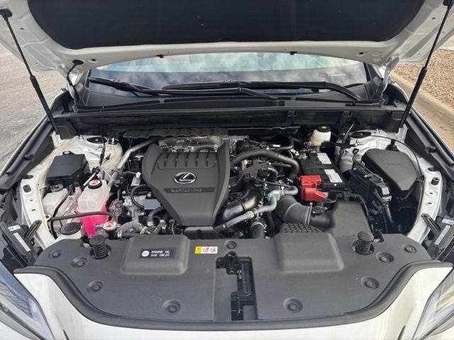 2025 Lexus NX 350 Premium