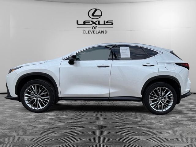 2025 Lexus NX 350 Premium