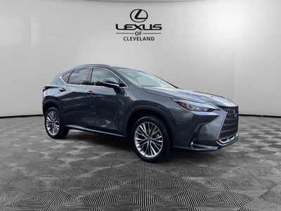2025 Lexus NX 350h Premium