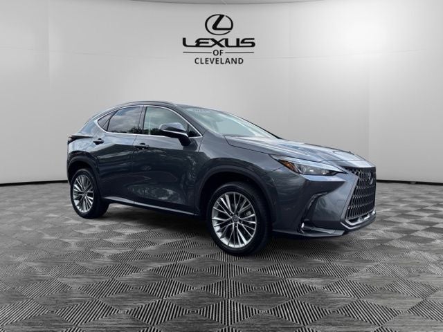 2025 Lexus NX 350h Premium