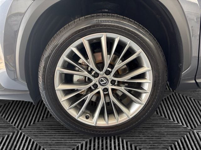 2025 Lexus NX 350h Premium