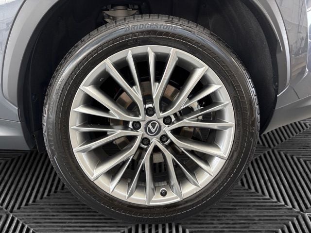 2025 Lexus NX 350h Premium