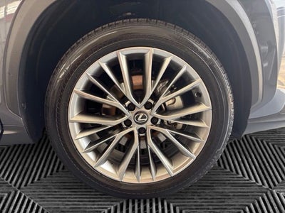 2025 Lexus NX 350h Premium