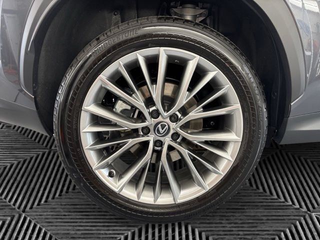 2025 Lexus NX 350h Premium