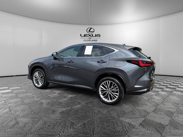 2025 Lexus NX 350h Premium