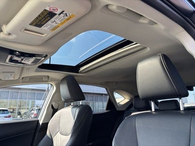 2023 Lexus NX 350 Luxury