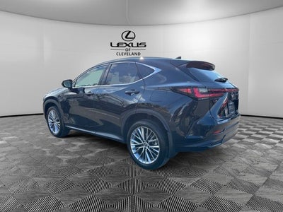 2023 Lexus NX 350 Luxury