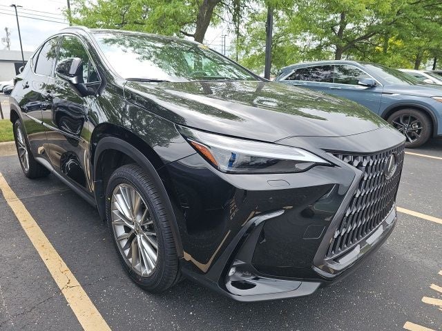 2024 Lexus NX 350 Luxury