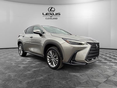 2023 Lexus NX 350 Luxury