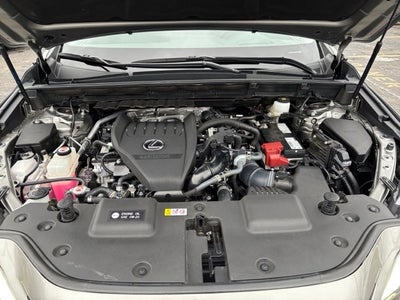 2023 Lexus NX 350 Luxury