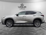 2023 Lexus NX 350 Luxury