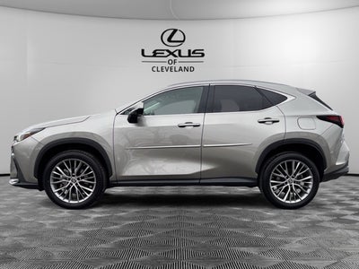 2023 Lexus NX 350 Luxury