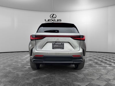 2023 Lexus NX 350 Luxury