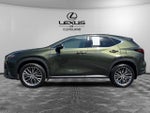 2024 Lexus NX 350 Luxury