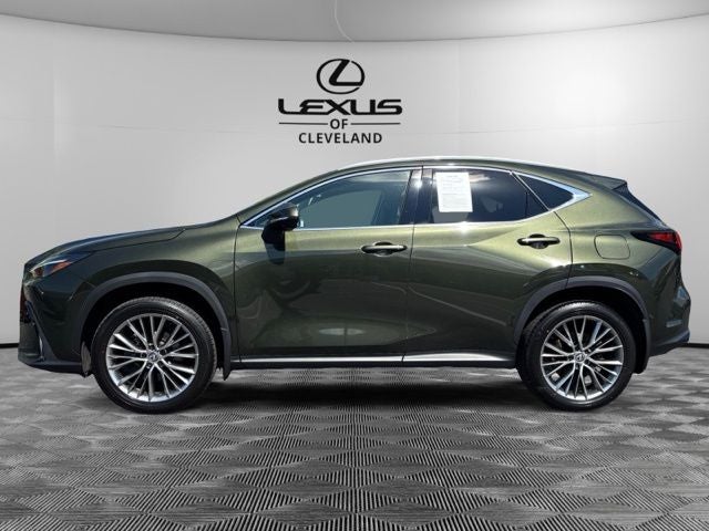 2024 Lexus NX 350 Luxury