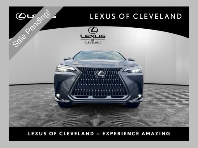 2024 Lexus NX 350 Luxury