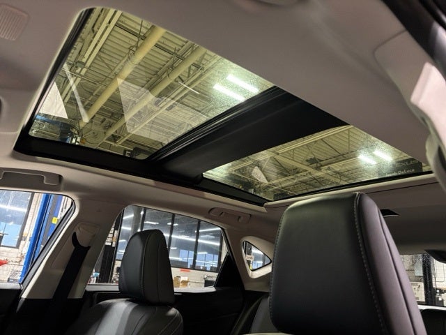 2025 Lexus NX 350h Luxury