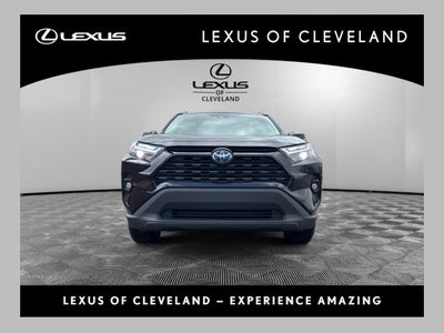 2023 Toyota RAV4 Hybrid XLE Premium