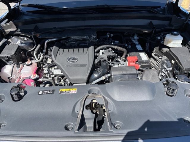 2024 Lexus TX 350 Premium