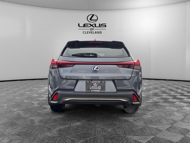 2022 Lexus UX 250h F SPORT