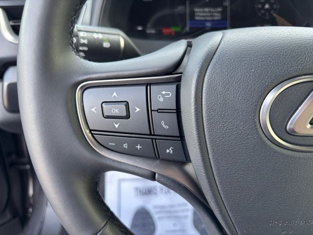 2025 Lexus UX 300h Premium