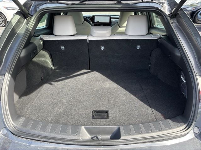 2025 Lexus UX 300h Premium