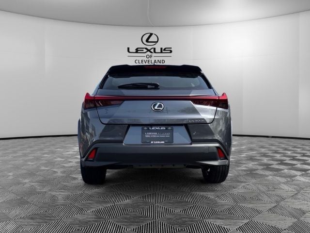 2025 Lexus UX 300h Premium