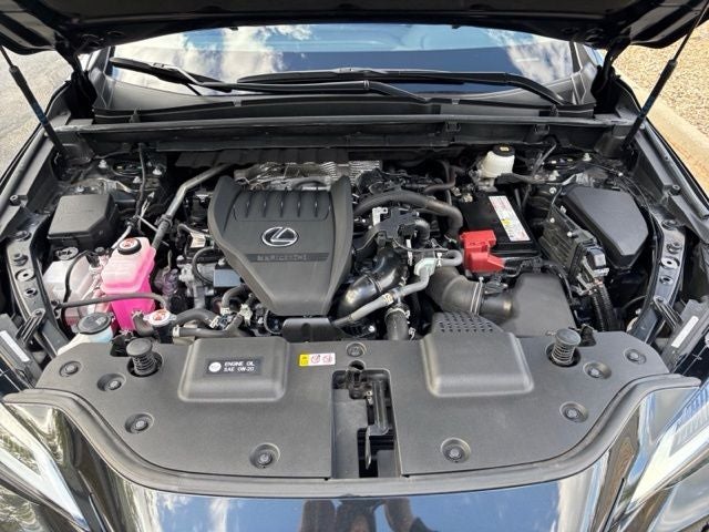 2024 Lexus NX 350 Base