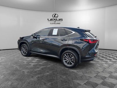 2024 Lexus NX 350 Base