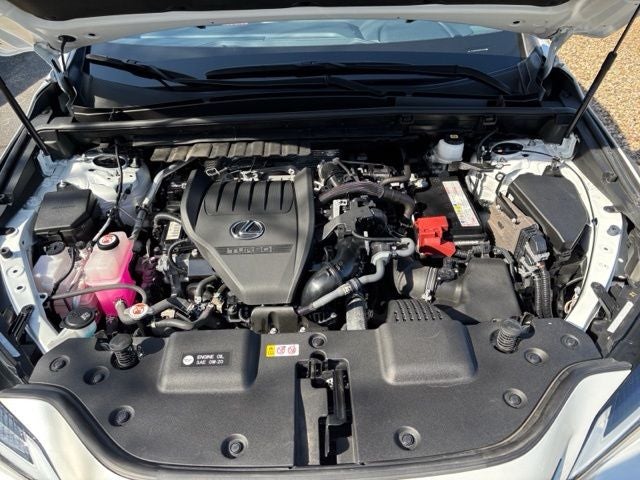 2024 Lexus NX 350 Premium