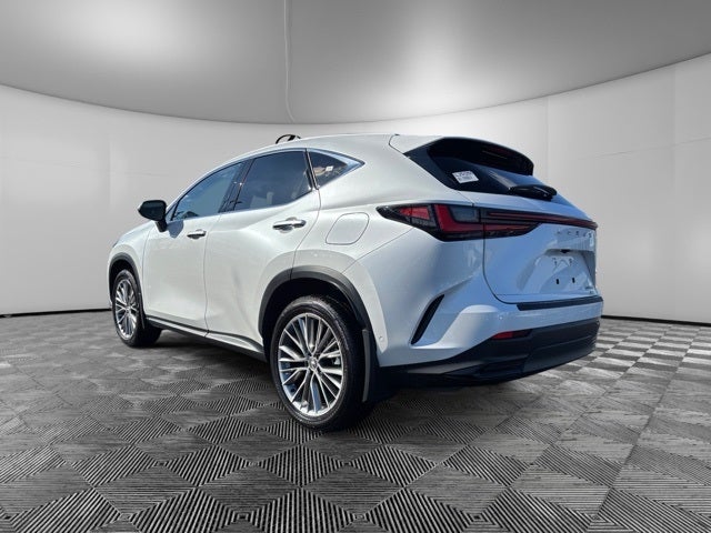 2025 Lexus NX 350 Luxury