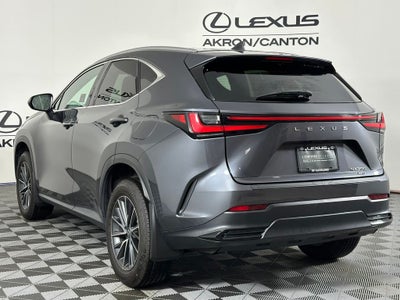 2024 Lexus NX 350 Base
